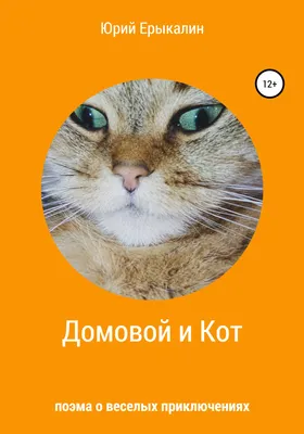 Кот и Домовой