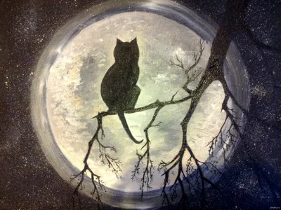 Картинки черный кот, луна, темный фон - обои 1920x1200, картинка №174206