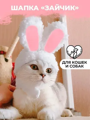 Шапка для кошек и собак шапочка для кота уши зайца смешные PETSROOM  24735657 купить за 239 ₽ в интернет-магазине Wildberries