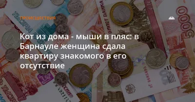 Средство инсектицидное Прошка Домовой Клей против грызунов и насекомых - « Кот из дома - мыши в пляс! Поможет ли домовой Порошка избавиться от  переносчиков заразы. +Расскажу как СДЕЛАТЬ эффективную МЫШЕЛОВКУ своими  руками.