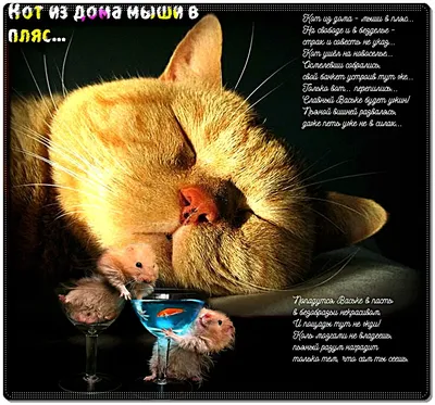 Кот из дома; мыши в пляс» — создано в Шедевруме