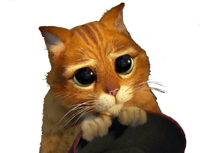 Кот из Шрека с Большими Глазами - Картинка (Фото) на Аву