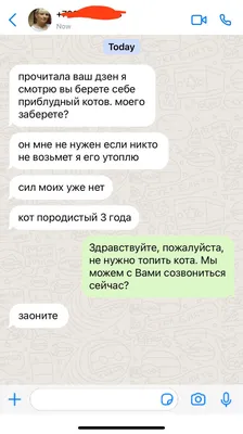 Группа «Viber»