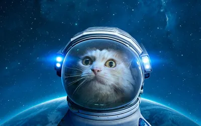 Кот космонавт на фоне планеты земля…» — создано в Шедевруме