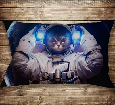 Подушка-картина с принтом на тему: Кот в скафандре. Кот Космонавт. 50 х 70  см | Booom Shop