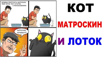 Приколы с котами. КОТ МАТРОСКИН И ЛОТОК. Угарные мемы - YouTube