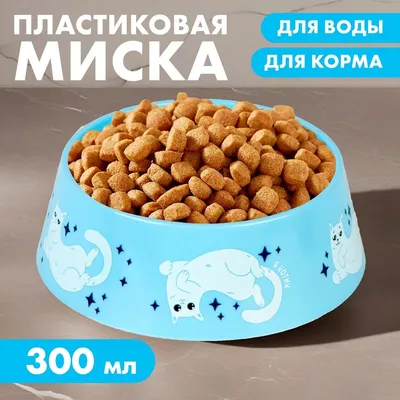 Миска пластиковая «Кот отдыхает», голубая, 300 мл 9612242 Пушистое счастье  купить по цене от 95руб. | Трикотаж Плюс | Екатеринбург, Москва