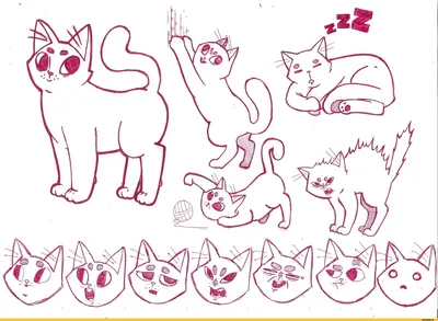 Конкурс детского рисунка "Нарисуй кота" - Конкурс рисунка для детей 2024 -  Бесплатные конкурсы для детей 2024. ТУНТУК