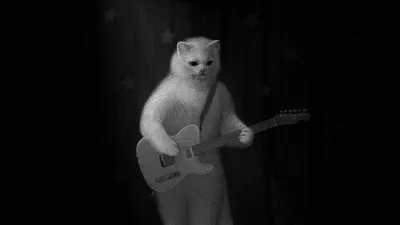 Кот с гитарой #50