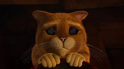 Дакимакура "Кот из Шрэка / Cat from Shrek" - купить по выгодной цене |   - интернет-магазин вещей по аниме, фильмам, сериалам и играм