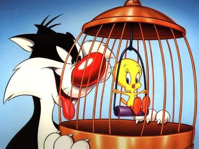 Looney Tunes. Кот Сильвестр и Твити. Сборник мультфильмов (DVD) - купить  мультфильм на DVD с доставкой. GoldDisk - Интернет-магазин Лицензионных DVD.