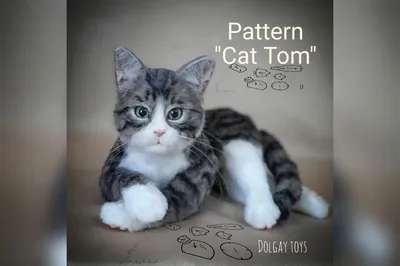 Katy and talking cat TOM - YouTube