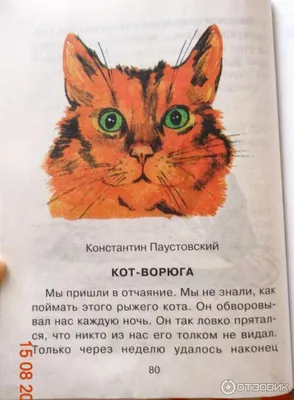 Кот-ворюга. Рассказы и сказки — купить в Эстонии | Доставка по Европе