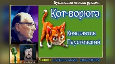 Кот Ворюга. Стихи, рассказы, сказки о животных - Афанасий Фет. Доставка по  России - SHOP-RE-BOOKS - магазин прочитанных книг