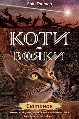 Манга українською мовою «Коти-вояки. Пригоди Сіросмуга. Том 1. Зниклий вояк»