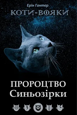 Коти-Вояки. Пророцтво Синьозірки, цена 195 грн, купить на  • 