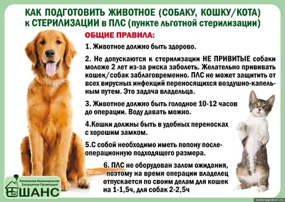 Гельминтал мини сироп для котят, щенков, кошек и собак, 10 мл – купить в  Воронеже по цене интернет-магазина «Две собаки»