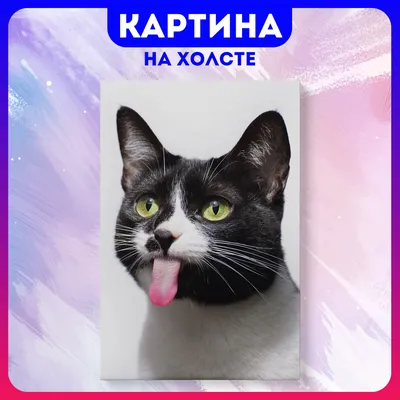 Милые котята» картина Матюниной Ольги (бумага, акварель) — купить на  