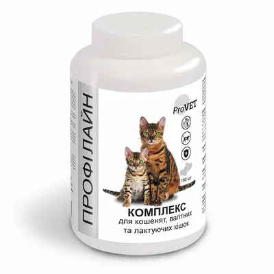 Best Dinner Higt Premium консервы 100г для кошек и котят натуральная  перепелка купить, цена в интернет-магазине "Багира" Симферополь, Крым