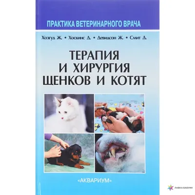 Корм для животных Whiskas, 75 г, для котят, кусочки в желе, телятина, пауч,  G8462 в Орле: отзывы, цены, описание и фотографии, специальные цены в  интернет-магазине Порядок.ру