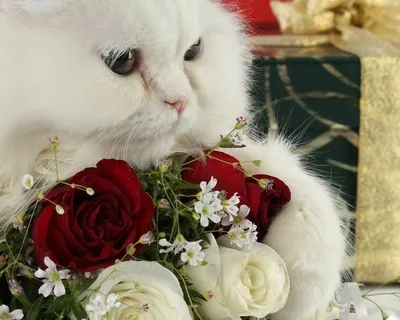 Красивые котята с цветами - картинки и фото 