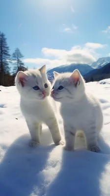 Два белых котенка в снегу | Премиум Фото