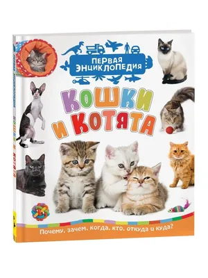 Кошки и котята. Первая энциклопедия для малышей РОСМЭН 6752011 купить в  интернет-магазине Wildberries