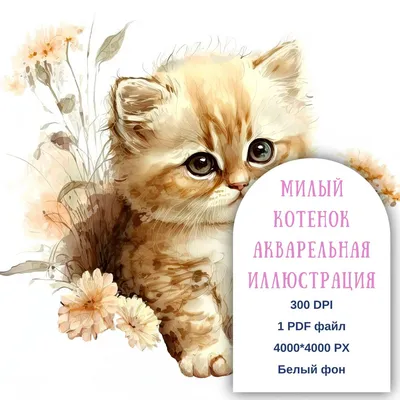 Кот с цветами кот