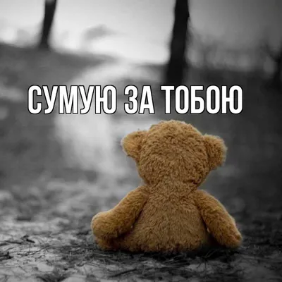 КОШКА ГРУСТИТ – ЧТО ДЕЛАТЬ