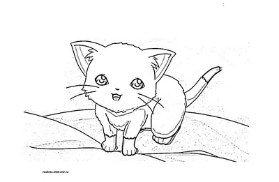 Ещё котики!!! Подборка аниме о милых пушистиках! Топ 5 (часть 2) 🙀 |  CatCut Anime(новый) | Дзен