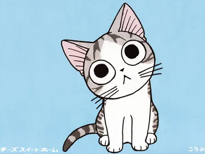 Милый котик рисунок простой для срисовки - 65 фото