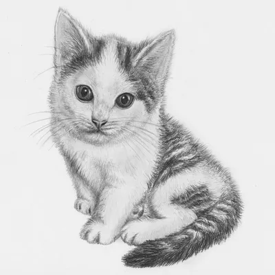 Купить Свитшоты набором с новогодними рисунками "котики нарисованные"  Family look, цена 2040 грн —  (ID#1503193826)