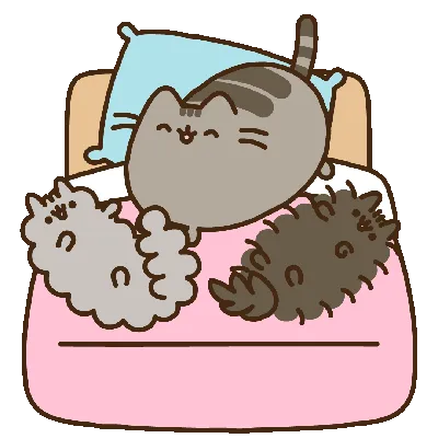 Пин от пользователя Katrina на доске Pusheen | Пушин, Милые котики, Котята