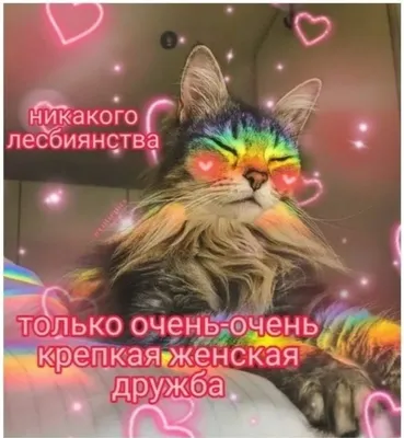 милые картинки с надписью | Милые котики, Веселые мемы, Милые рисунки