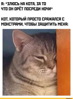 Календарь настенный Котики 4