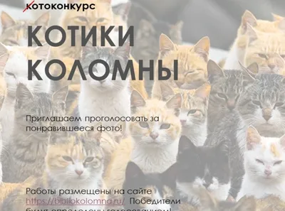 Фотоконкурс "Котики Коломны"