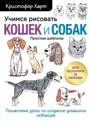 Блохи, лишай и линька: с какими проблемами сталкиваются владельцы кошек и  собак осенью | Ветеринария и жизнь