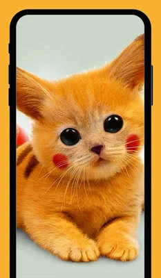 Пин от пользователя Natalydz на доске Обои для телефона в 2023 г | Котята,  Кошачий дизайн, Милые котики
