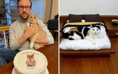 Фото котиков и собачек от читателей «ИрСити» ко Всемирному дню домашних  животных -  - 