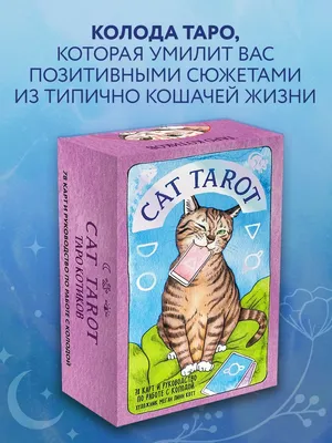 Cat Tarot. Таро Котиков (78 карт и руководство в футляре) Эксмо 44485508  купить за 1 662 ₽ в интернет-магазине Wildberries