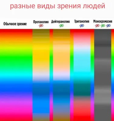 Почему одни видят платье черно-синим, другие бело-золотым. Научное  объяснение - Shazoo