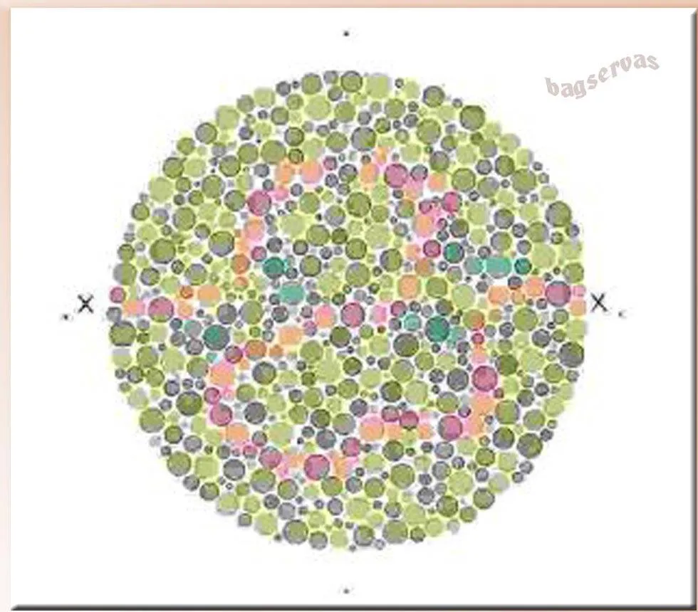 Разные восприятия цветов. Test daltonizm зеленый. Зрительное восприятие цвета. Цветы для дальтоников. Цвета для дальтоников.