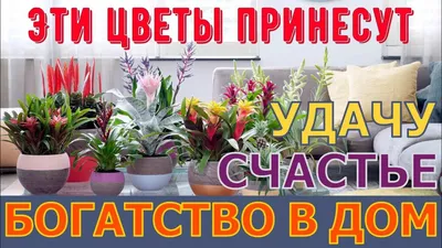 Места везения: 5 памятников, которые приносят удачу