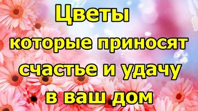 Магические символы удачи: 7 древних знаков для привлечения денег и счастья  – Новости Салехарда и ЯНАО – Вести. Ямал. Актуальные новости Ямала