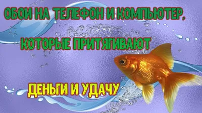 Финансовый гороскоп для знаков зодиака Телец, Стрелец, Лев