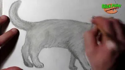 Иллюстрация кот карандашом в стиле 2d, графика, другое |