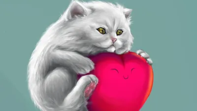 Кот с сердечком на груди стал звездой сети - фото уникального питомца