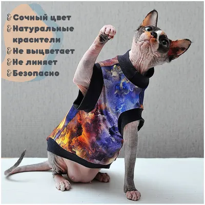 Одежда для кошек из сфинкса, Милый хлопковый комбинезон для котят, теплый  комбинезон для кошек, толстовки, костюмы для сфинкса, Devon, одежда для  кошек | AliExpress