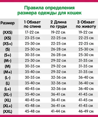 Как правильно подобрать одежду для кошки — Белый Кролик