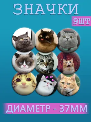 Набор значков Мемные Коты, пины котики, брошь - купить с доставкой по  выгодным ценам в интернет-магазине OZON (1261358629)